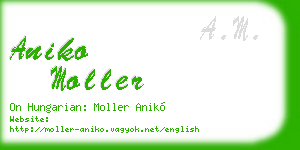 aniko moller business card